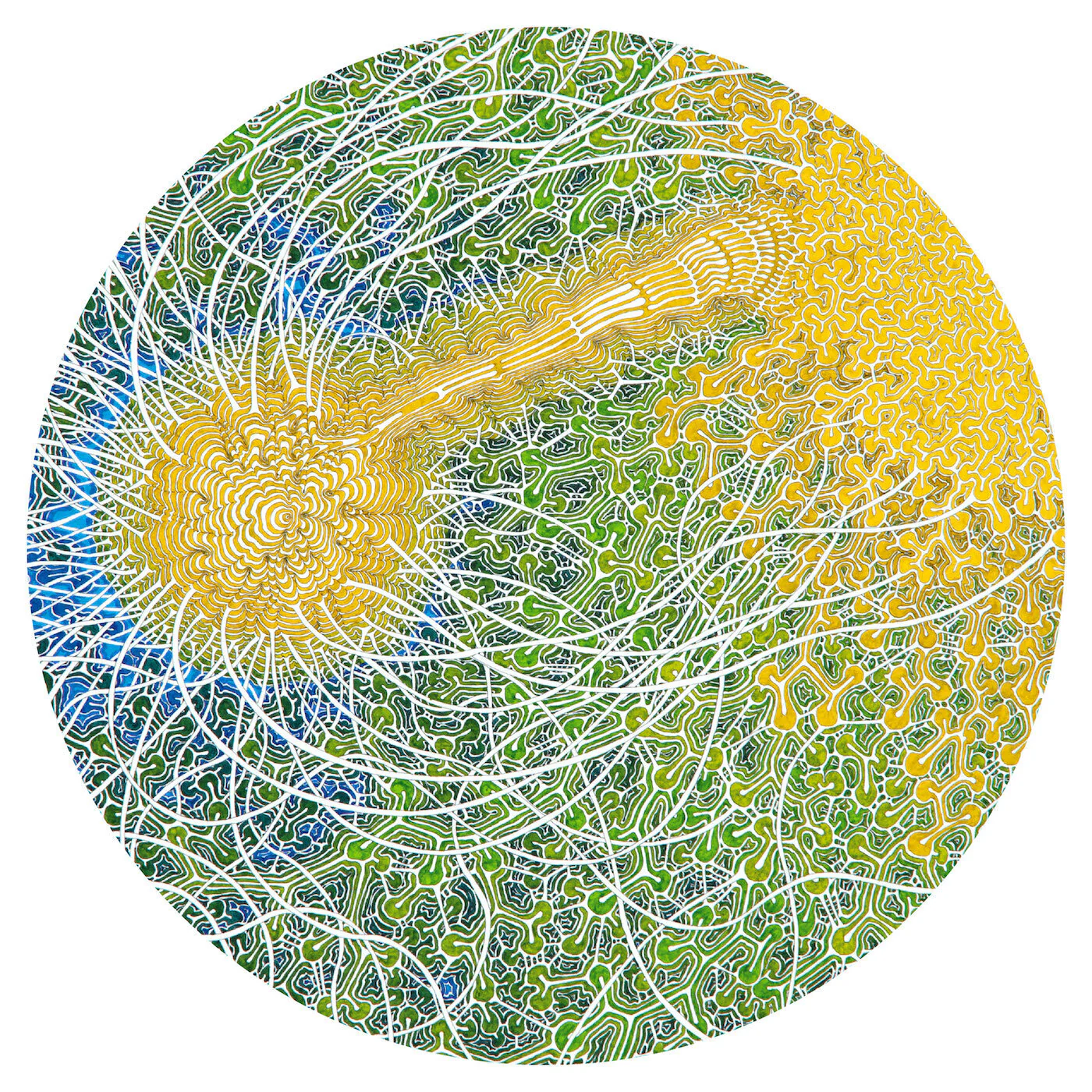 Feeling Is Structure