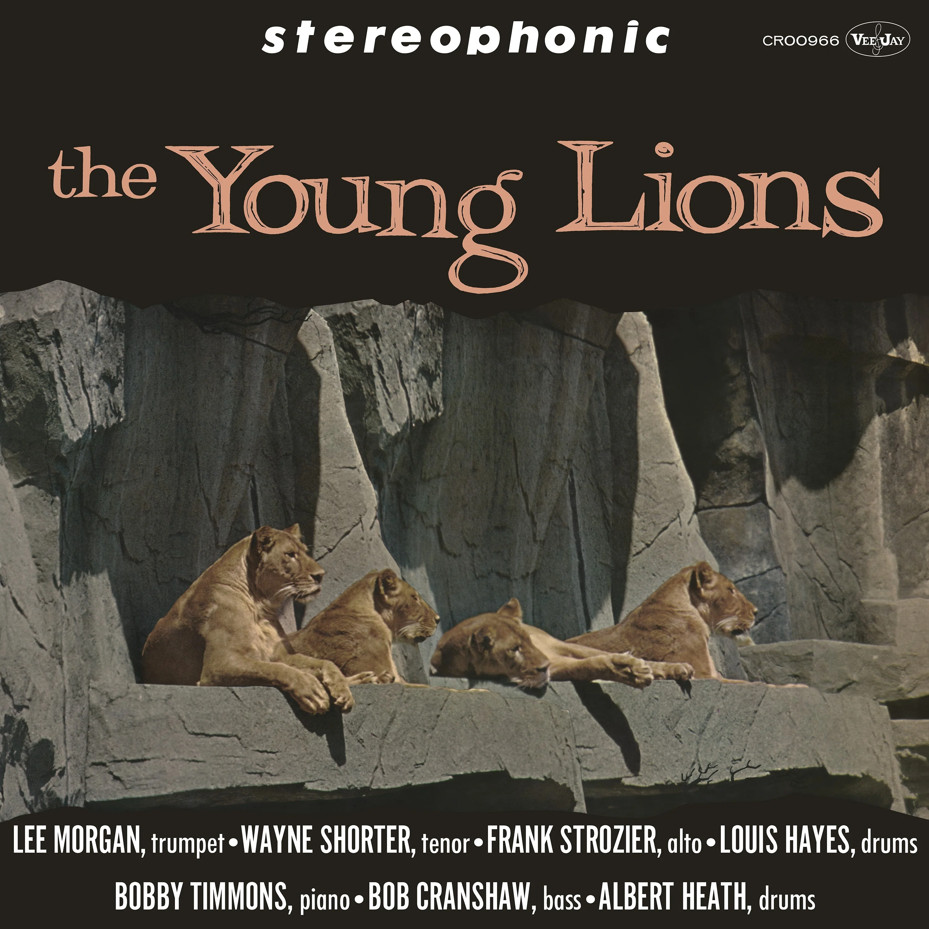 The Young Lions