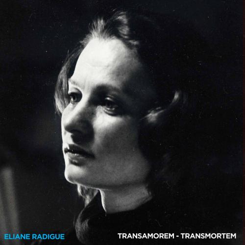 Transamorem - Transmortem
